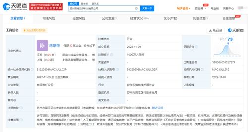 信息系統(tǒng)集成服務(wù) 連接、優(yōu)化與賦能