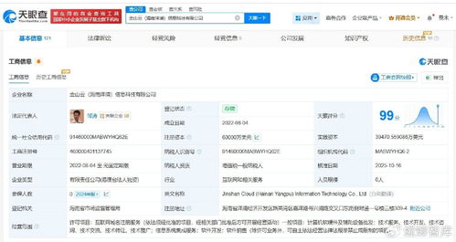 金山云旗下海南洋浦信息科技公司完成增資，注冊(cè)資本躍升至6億美元，增幅達(dá)20%，專注信息系統(tǒng)集成服務(wù)
